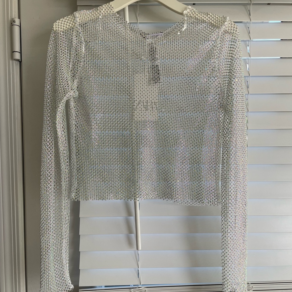 NWT Zara Mesh Shimmer Long Sleeve Top